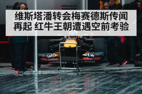Red Bull racing team